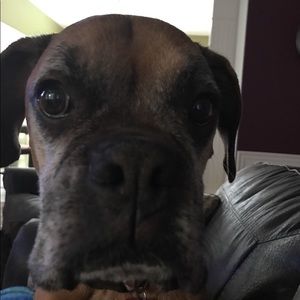 Meet your Posher, Maggie